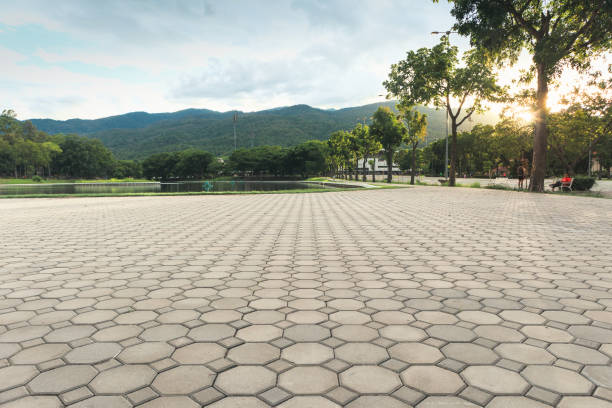Best Professional Driveway Pavers  in Weyers Cave, VA